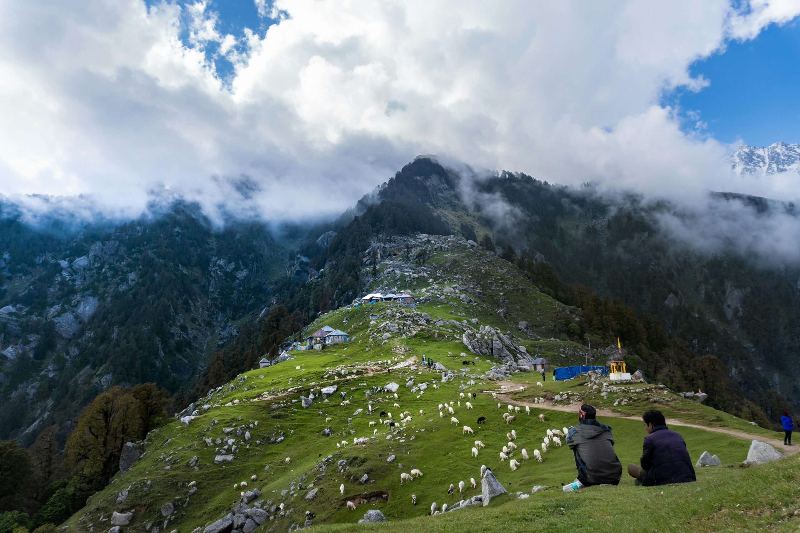 Triund Trek, McLeod Ganj